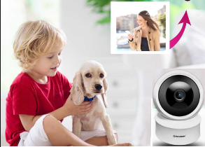 CCTV Surveillance System & Indoor Camera